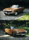 photo.gif (1111 Byte)